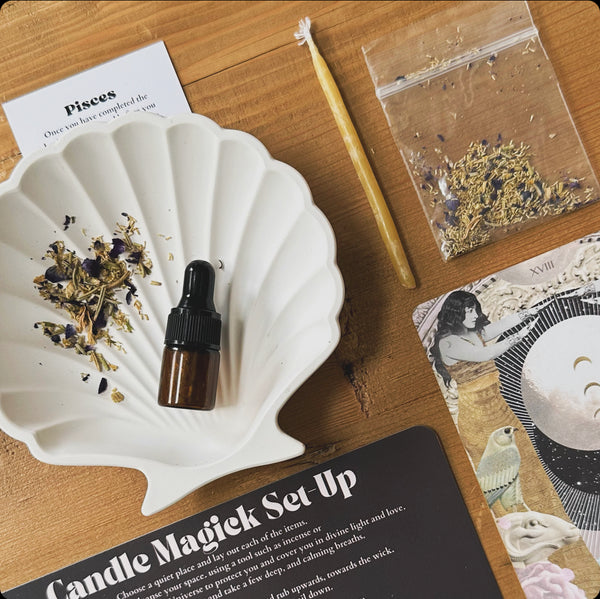 Handmade Concrete Shell Dish
