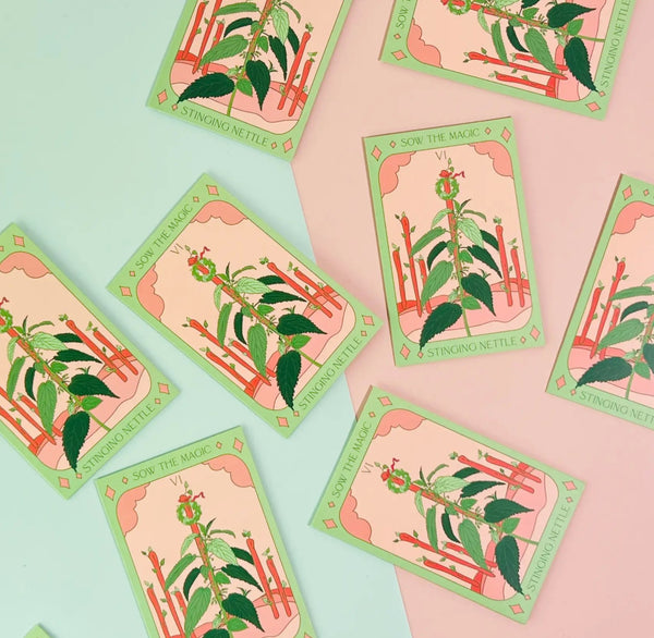 Stinging Nettle Tarot Seed Packet - The Mystics Club