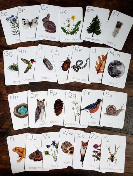 Backyard Nature Alphabet Flashcards - The Mystics Club