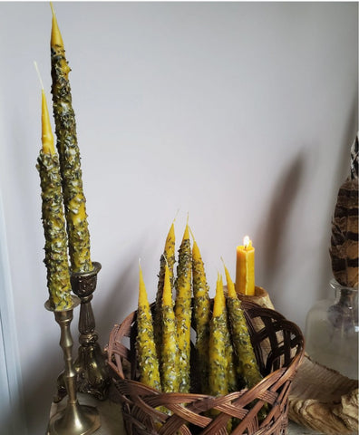 Beeswax Taper Candle with Lavender Buds - The Mystics Club