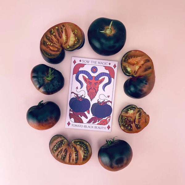 Black Beauty Tomato Tarot Garden Seed Packet - The Mystics Club