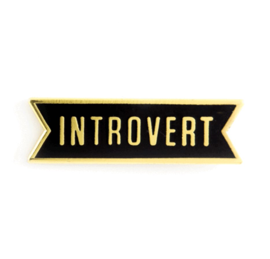 Introvert Enamel Pin - The Mystics Club