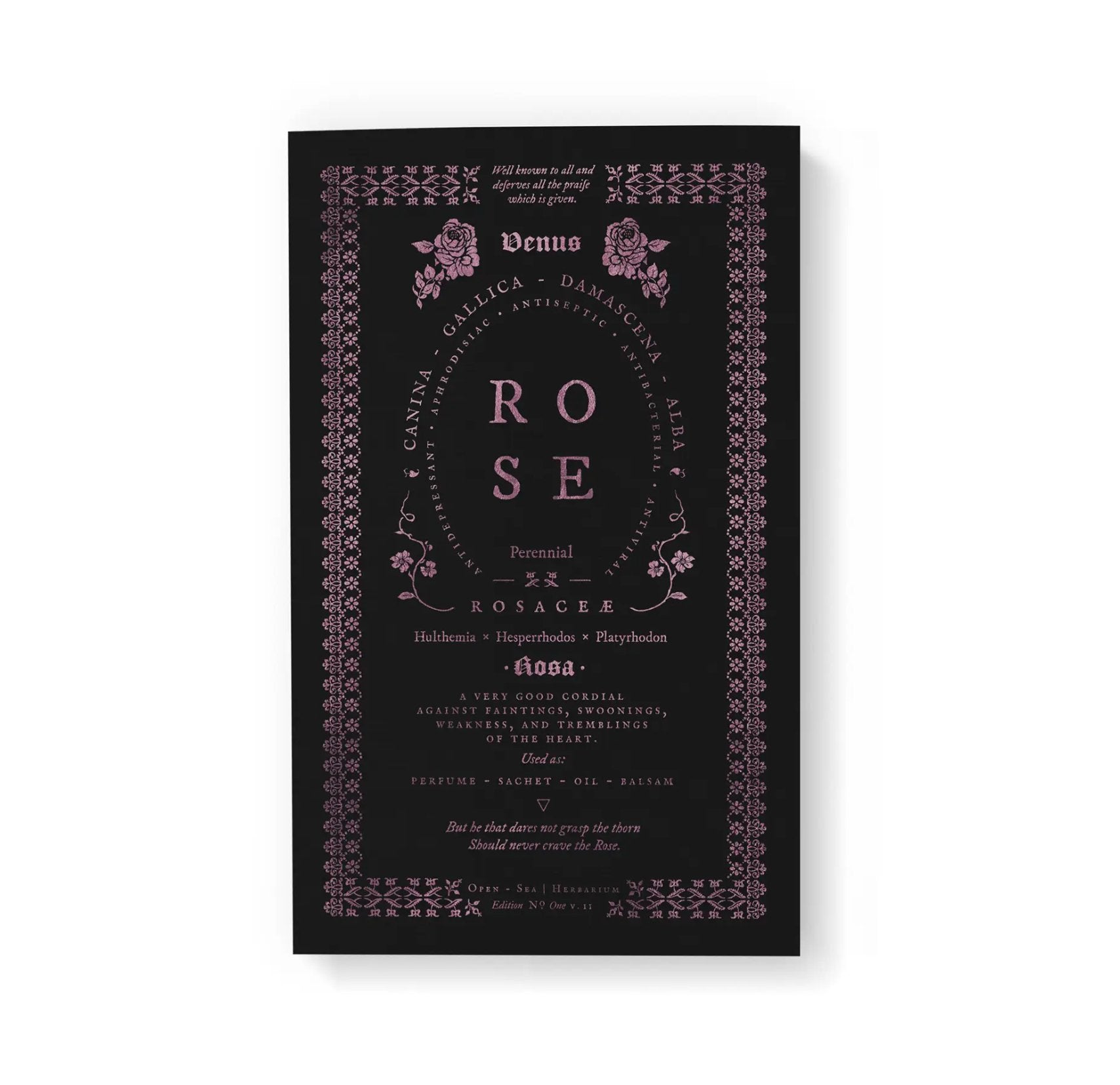 Rose Notebook - The Mystics Club